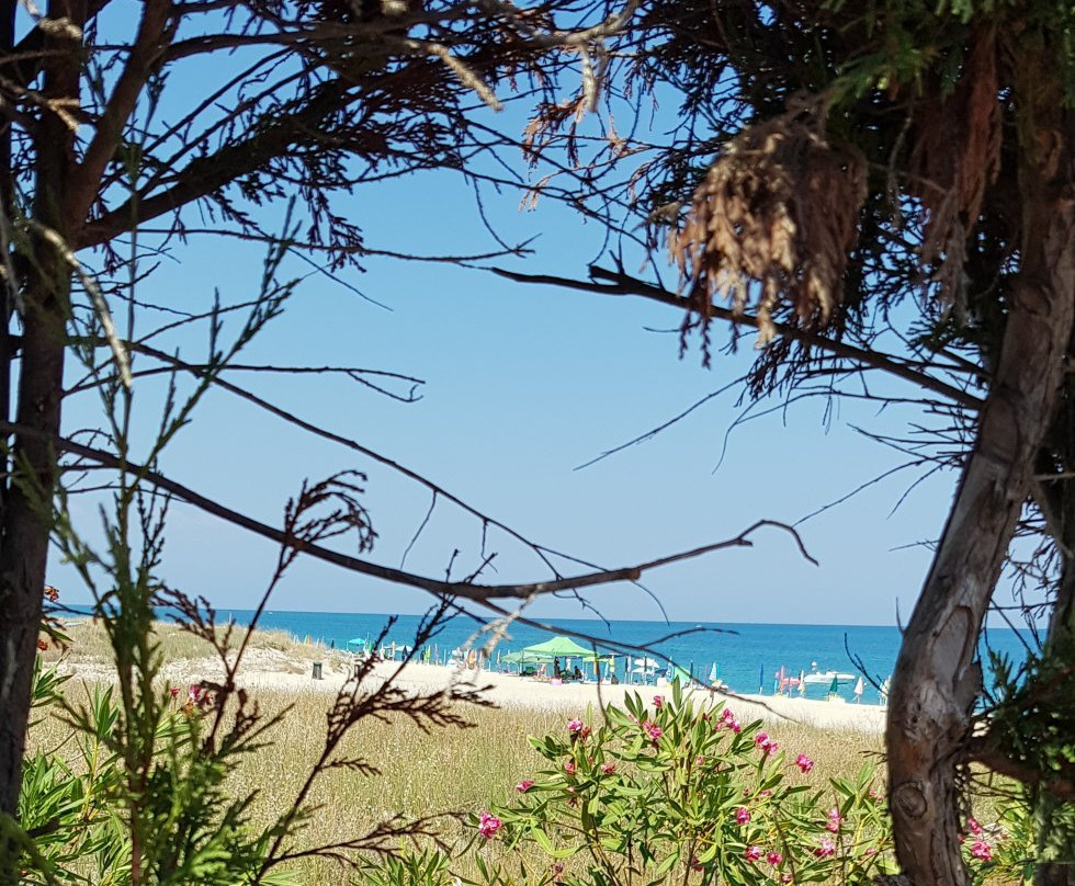 B&B La Lampara主图