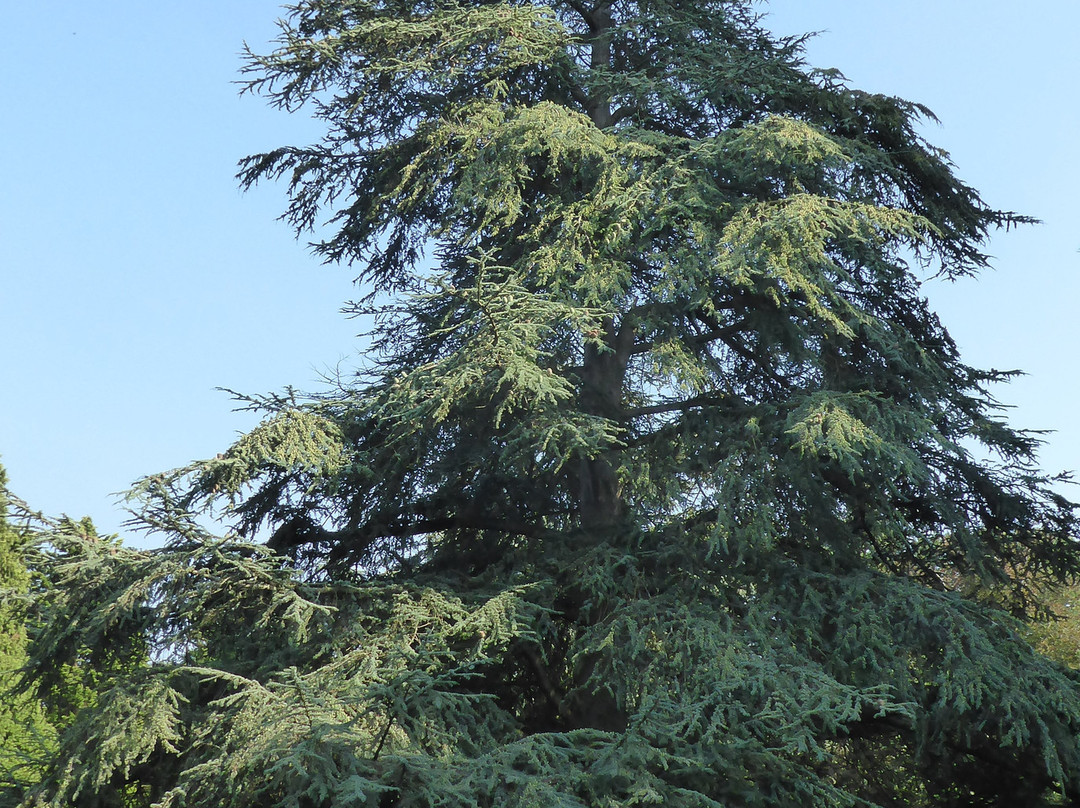 Ghyll Manor Hotel & Restaurant主图