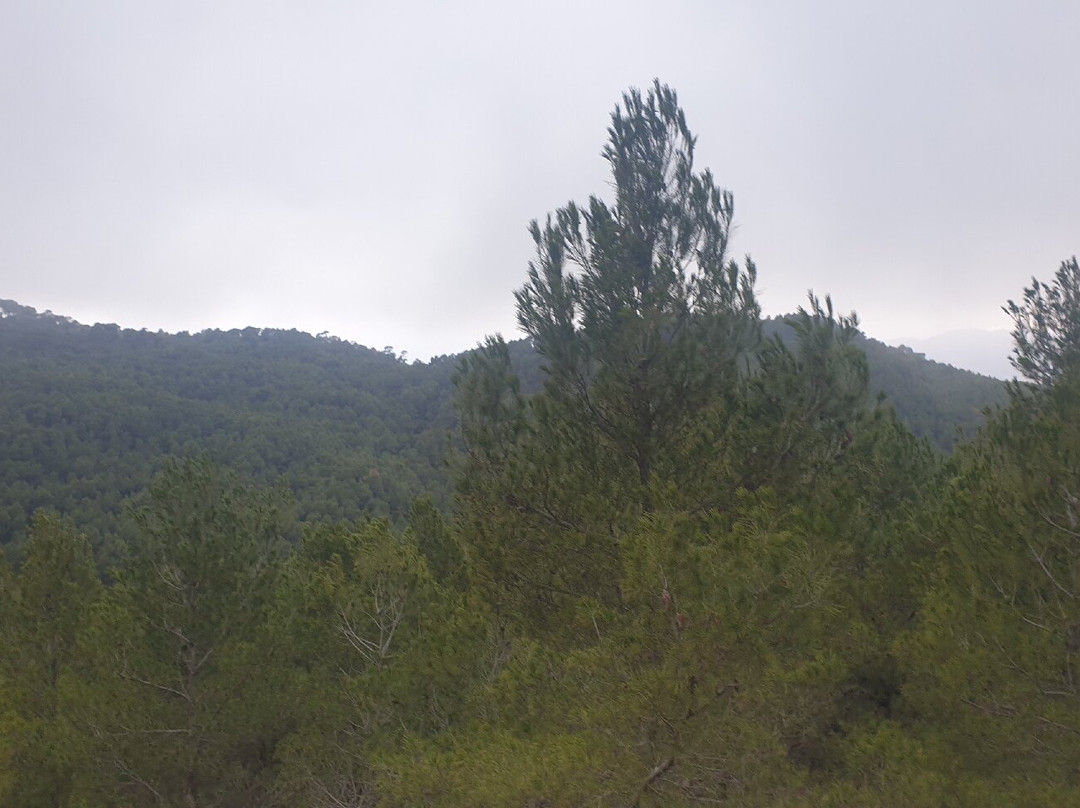 Sierra De Salinas景点图片