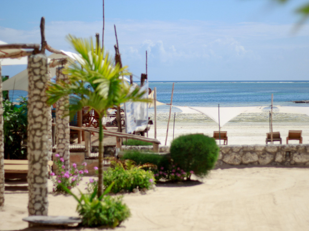 Mvuvi Boutique Resort主图