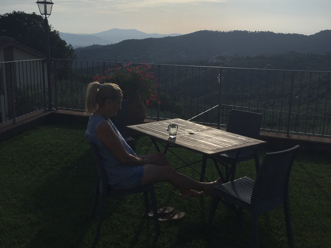 Agriturismo Il Calesse主图