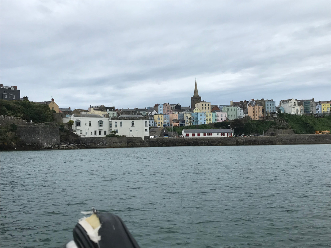 Saundersfoot Sea Safari景点图片