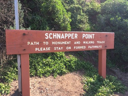Schnapper Point景点图片