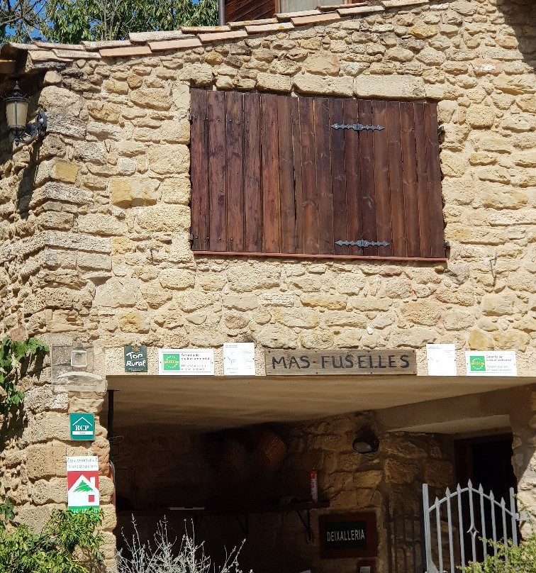 Cornella de Terri旅游攻略图片