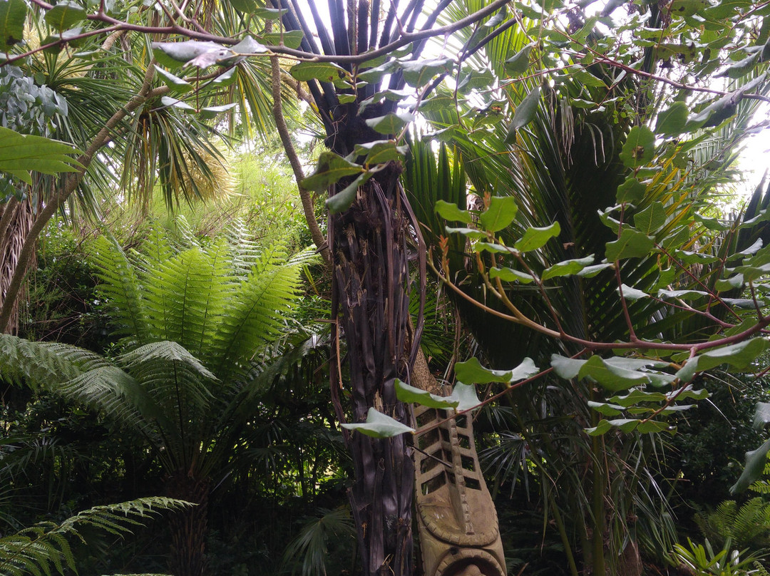 Les Chambres du Mad主图