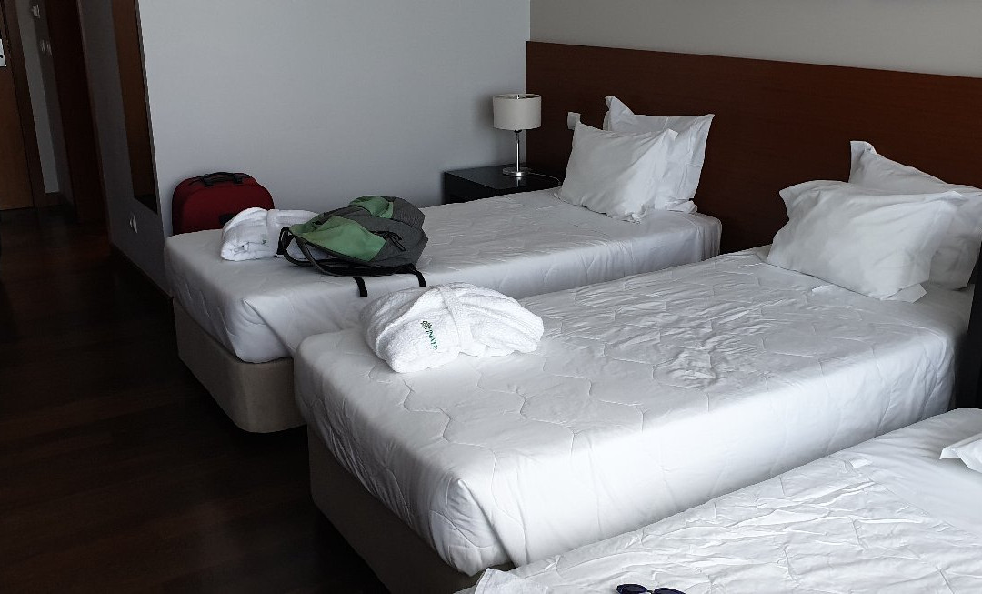 INATEL Flores Hotel主图