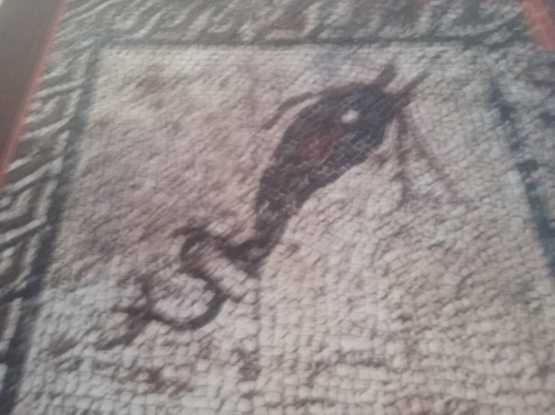 Ducal Palace-Medinaceli必去景点