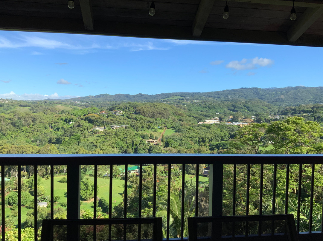 Marjorie's Kauai Inn主图