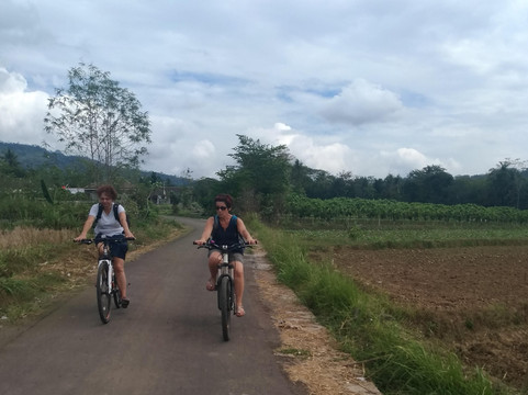 Indo Travel Point-Borobudur必去景点