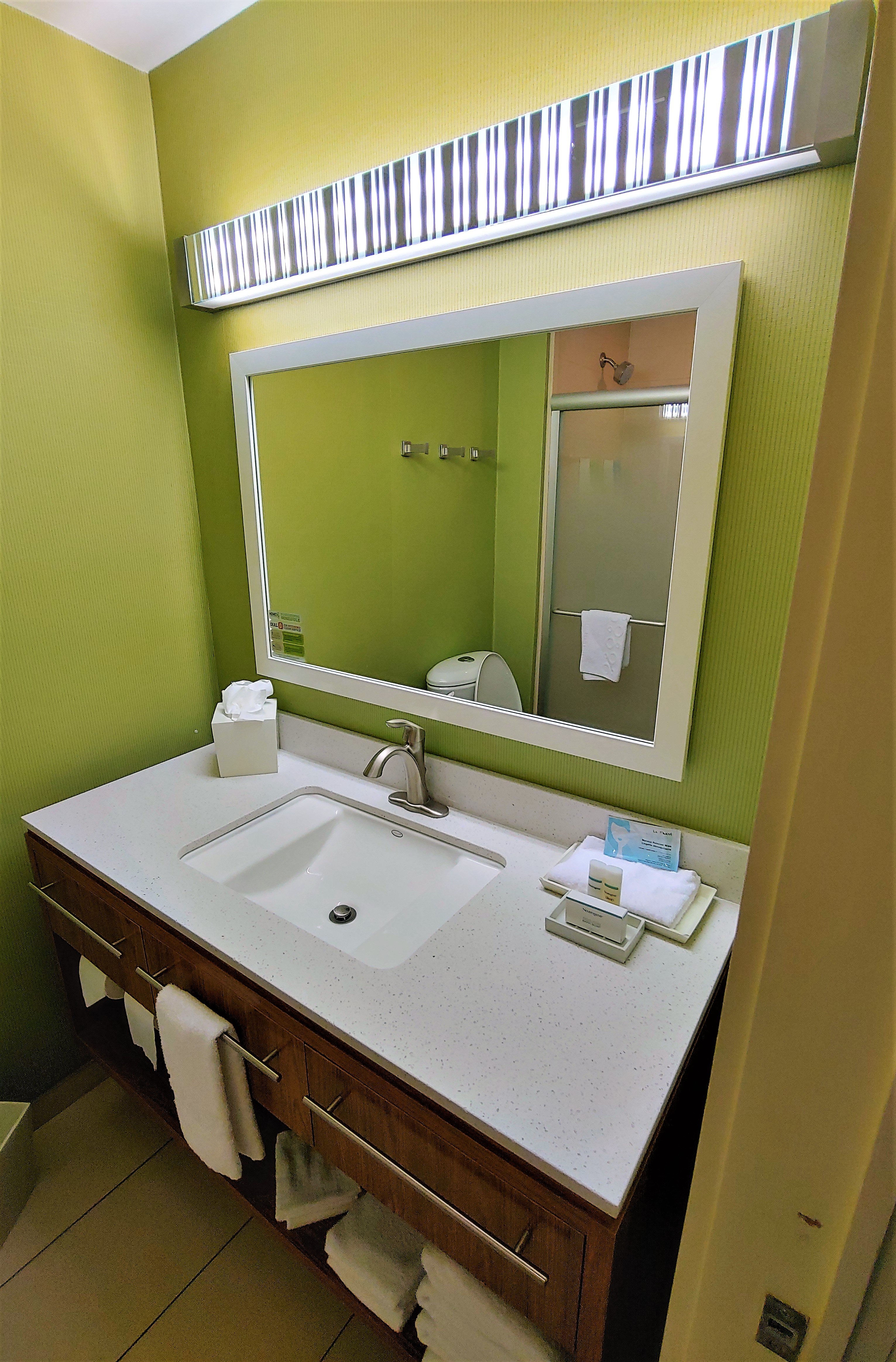 Home2 Suites By Hilton Augusta,GA-浴室