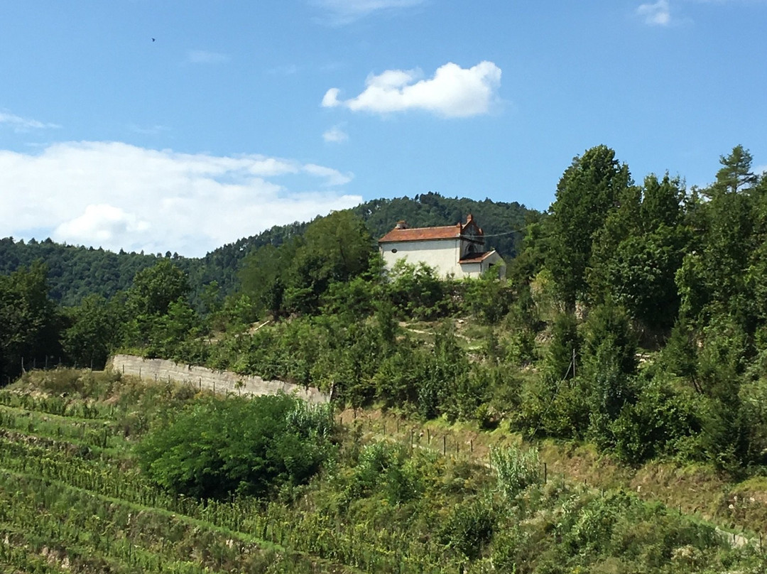 Azienda Agricola Patrone景点图片