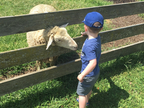Farmland Animal Park-Chemung必去景点