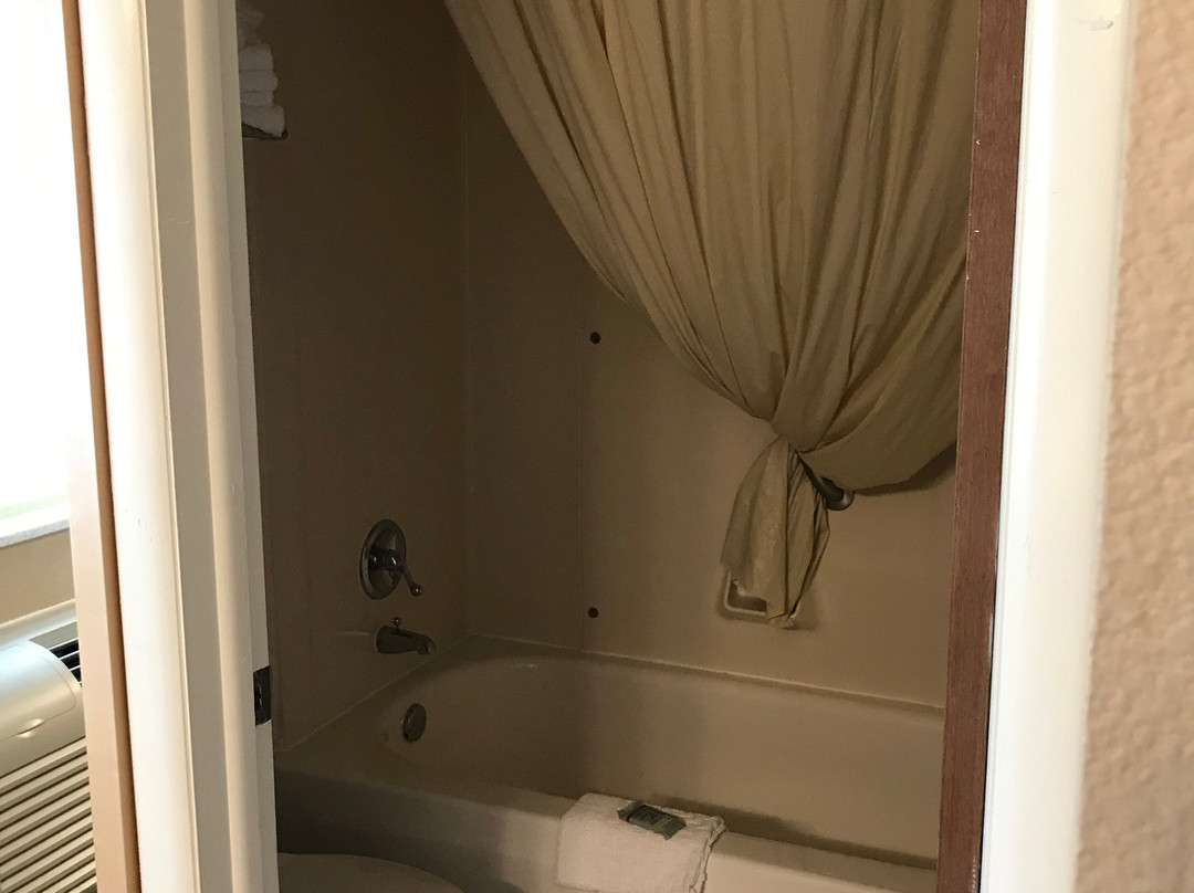 Best Western Golden Spike Inn & Suites主图