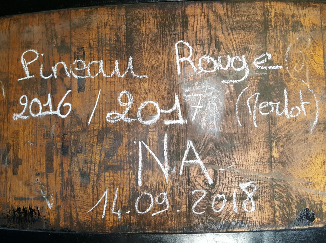 Cognac Tasting Tour景点图片