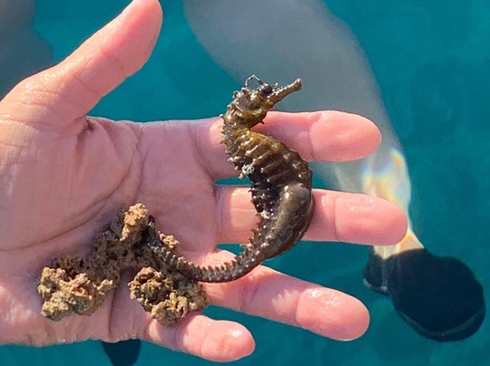 Pula Boat-普拉必去景点