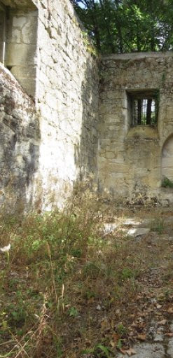 Monasterio Bon Jesus de Trandeiras景点图片