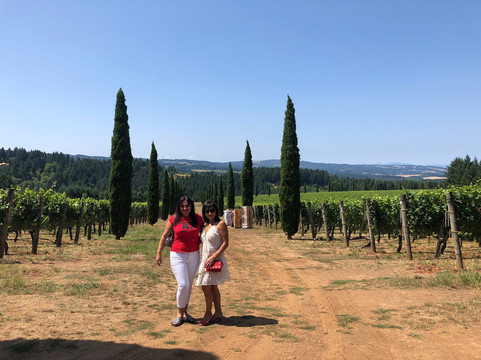 Alloro Vineyard-Sherwood必去景点