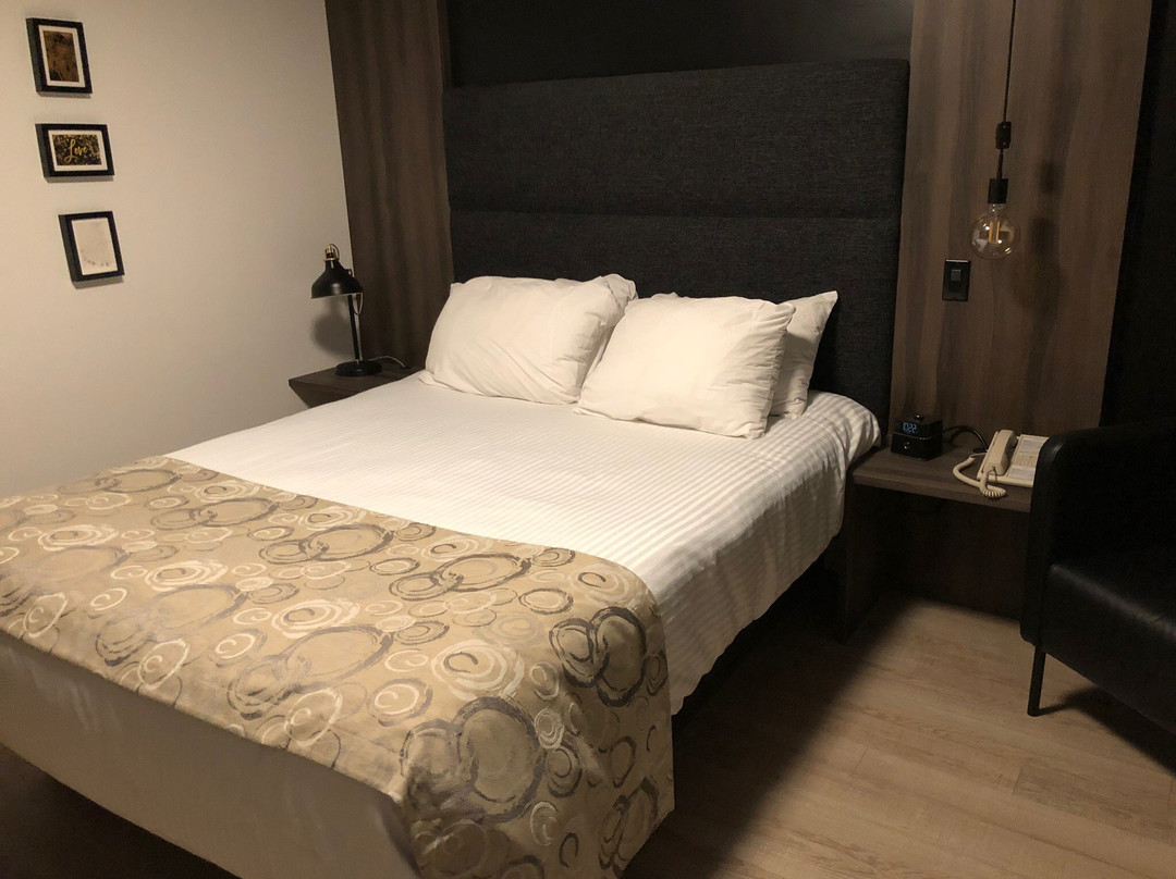 Hotel Centre-Ville主图