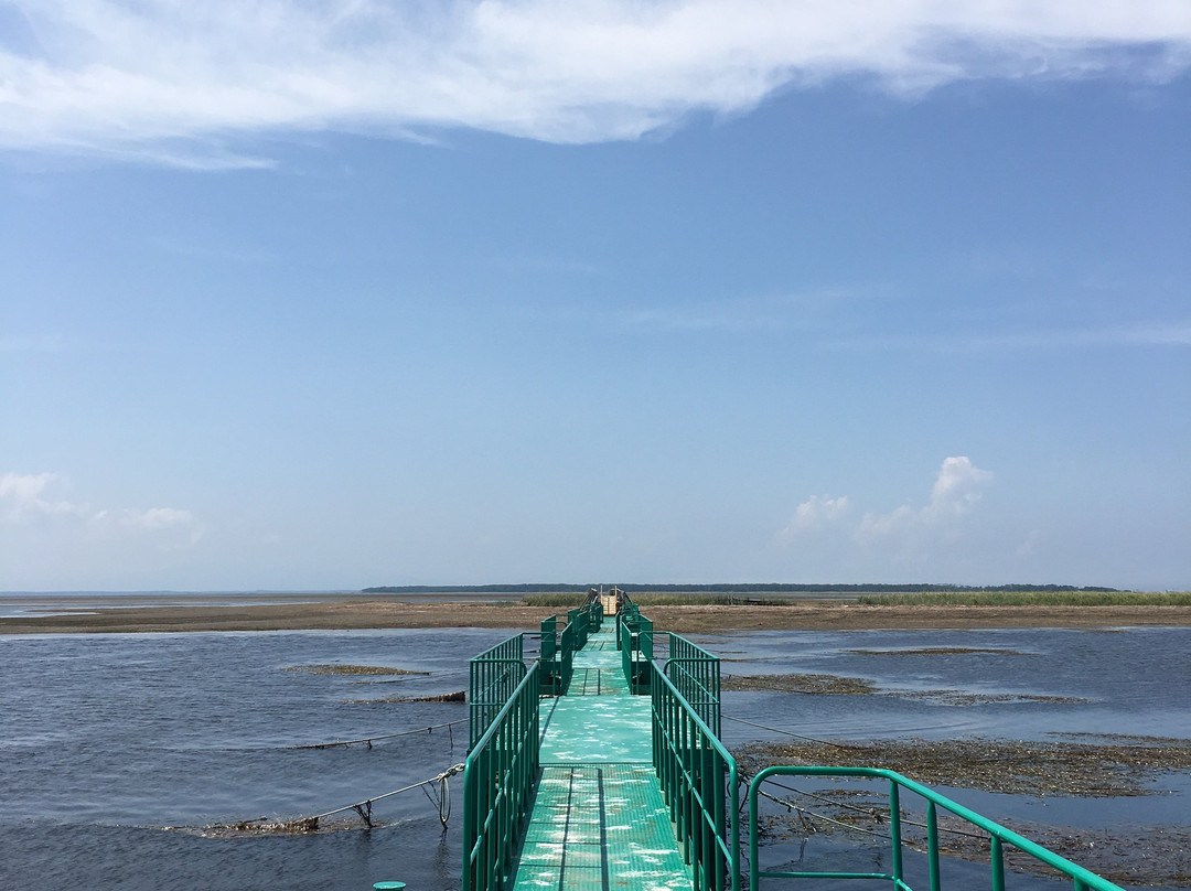 Todowara-别海町必去景点