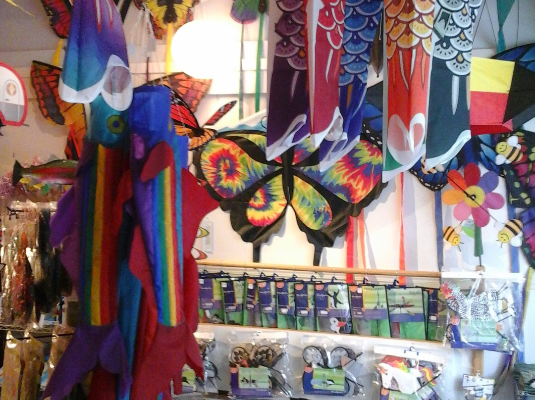 Livingston Kite Company-利文斯顿必去景点