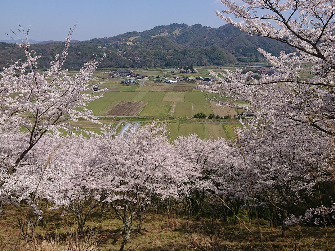 Tenmayama Park景点图片