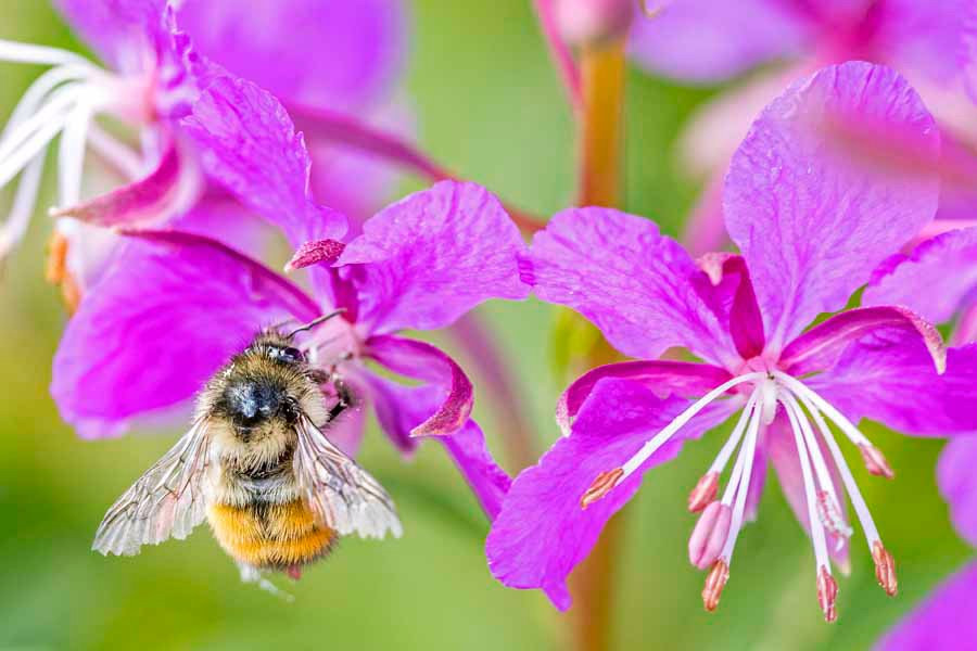Lac du Bois Grasslands Protected Area-坎卢普斯必去景点