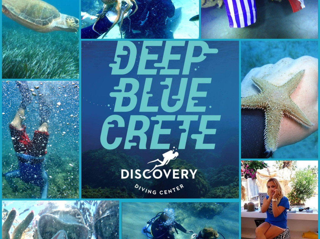 Discovery diving center