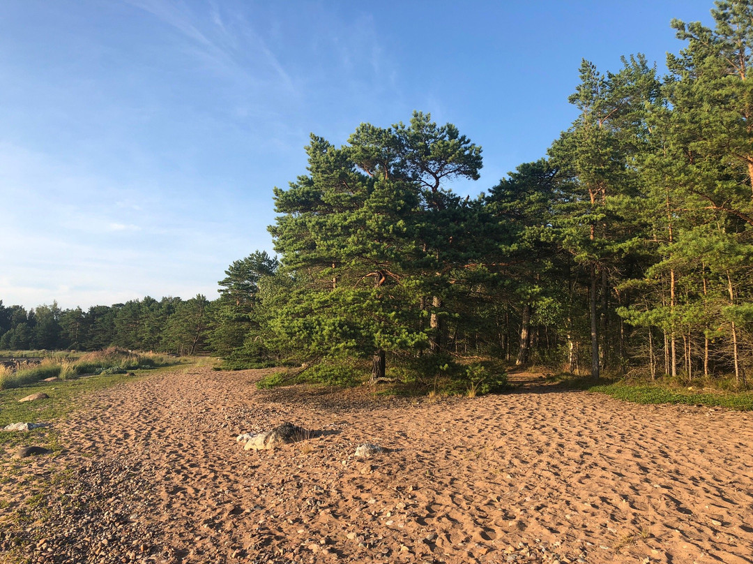 Tulliniemi Nature Path-Hanko必去景点