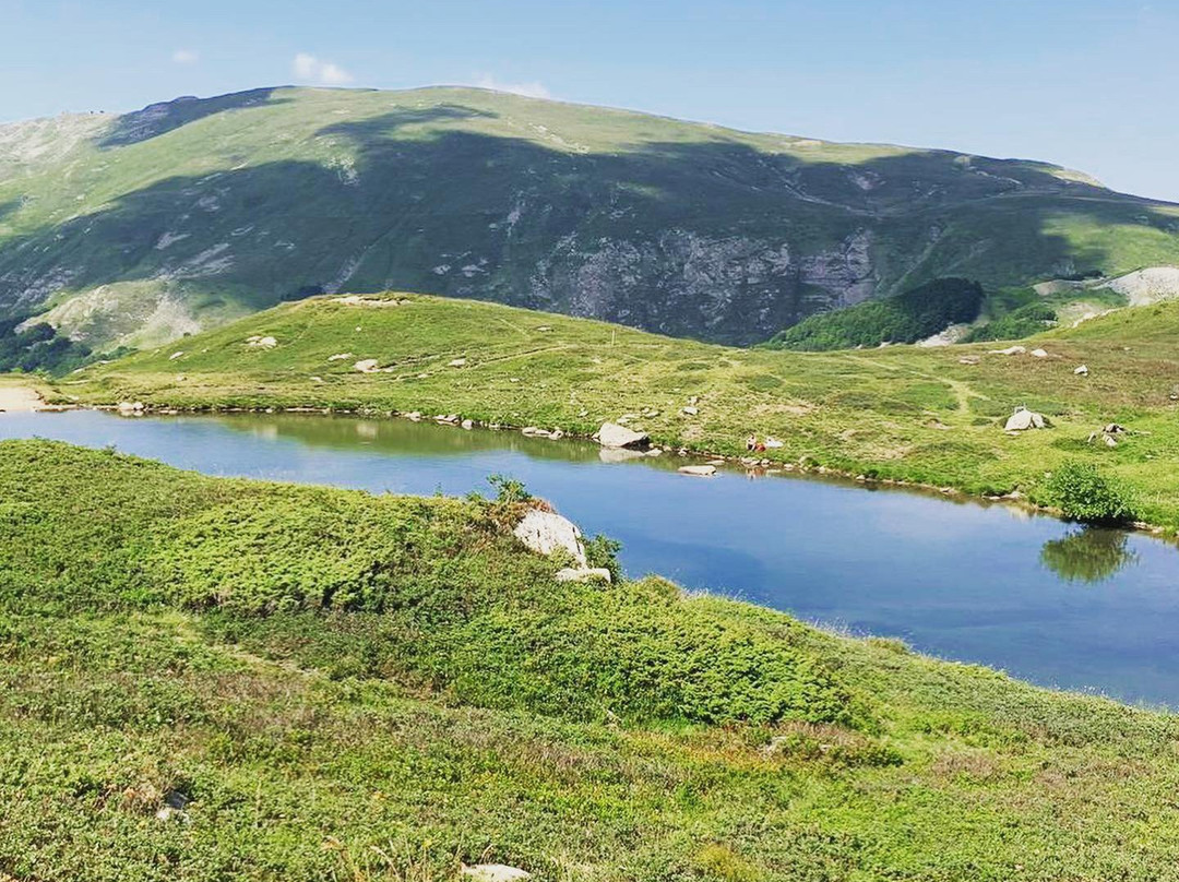 Lago della Bargetana景点图片