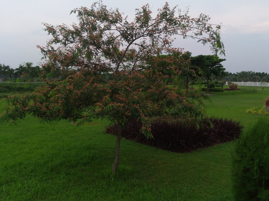 Motijheel Park景点图片