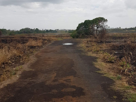 The Pitch Lake-La Brea必去景点