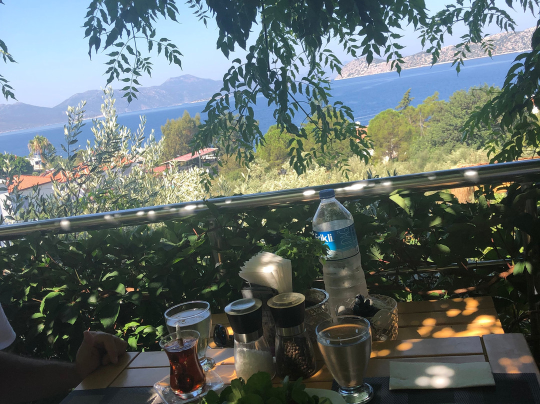 Lotus Pansiyon主图