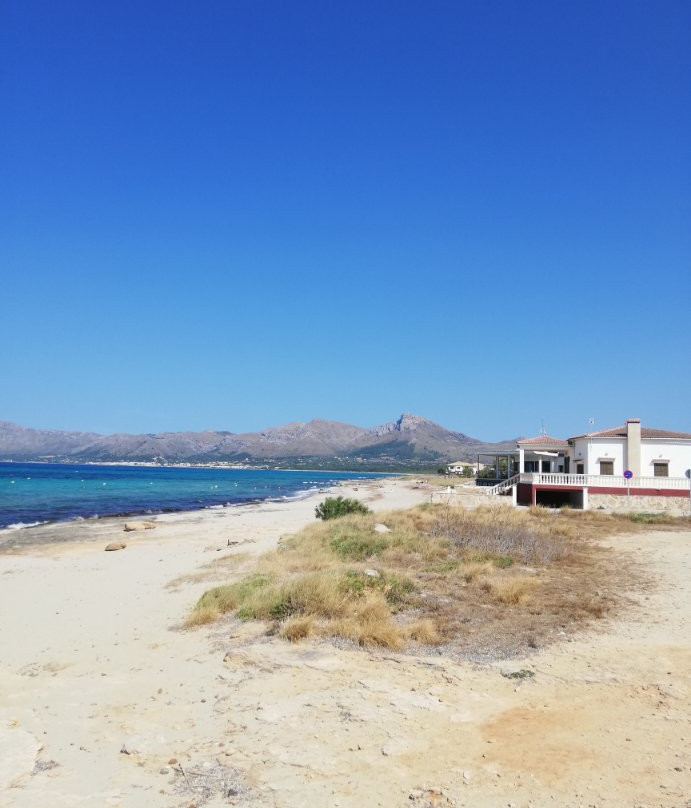 Son Serra de Marina景点图片