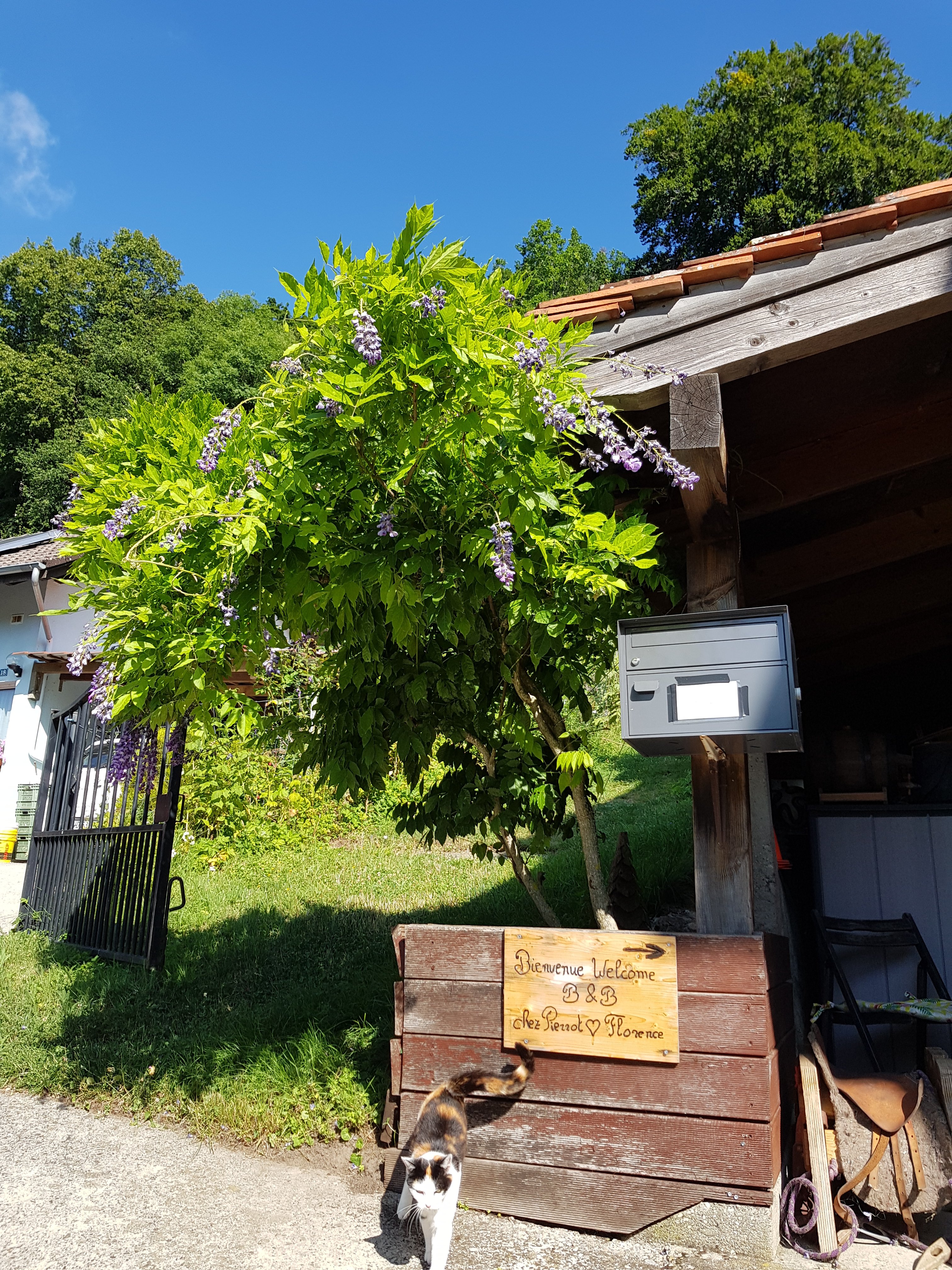 Chambres d'hôtes chez Pierrot et Flo-官方