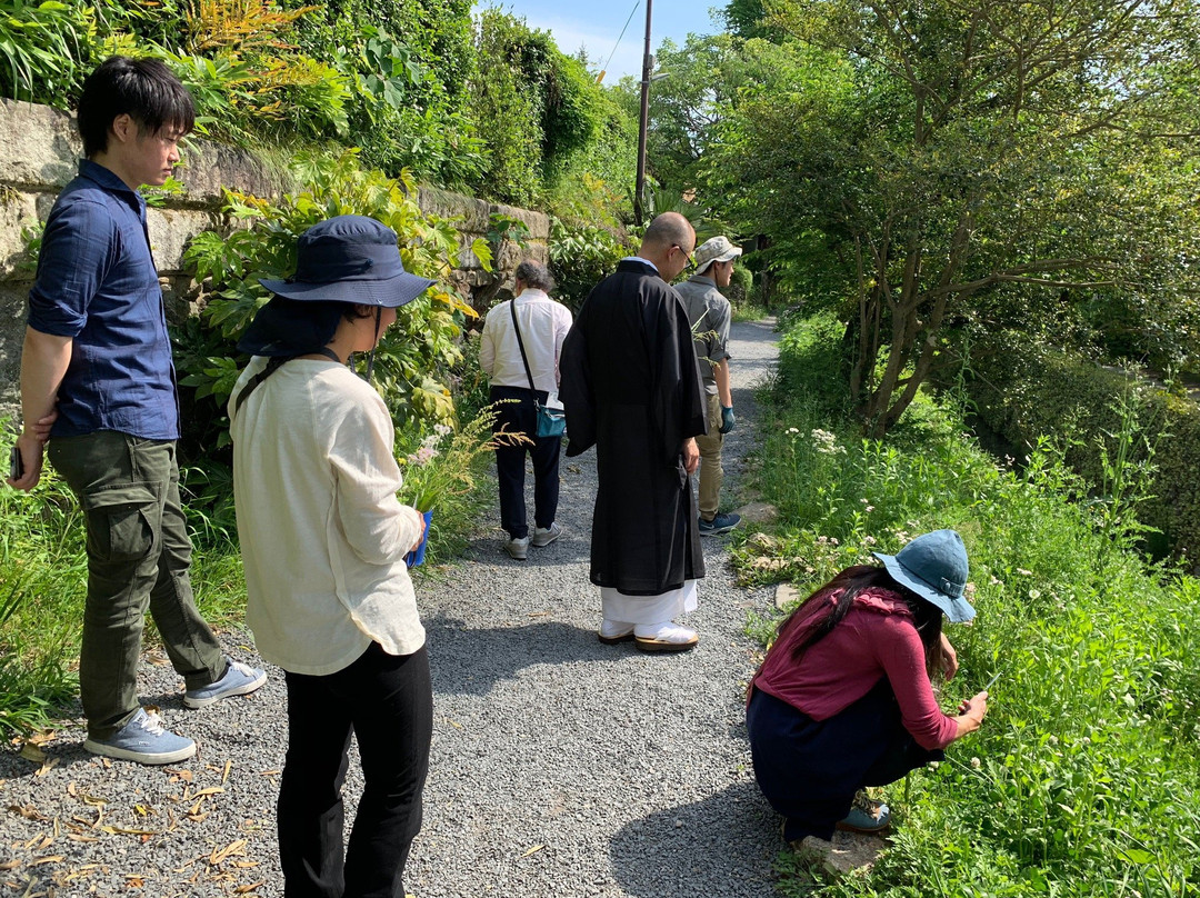 KYOTO NATURE TOURS-京都市必去景点