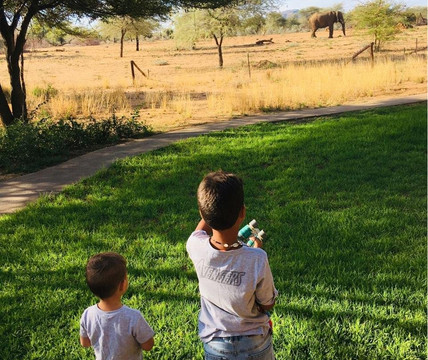 Five Stars Tours & Safaris