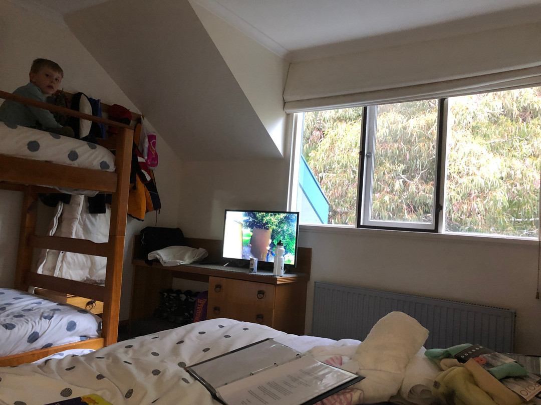 阿尔彭霍恩洛奇主图