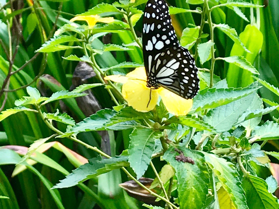 Govardhan EcoVillage-孟买必去景点