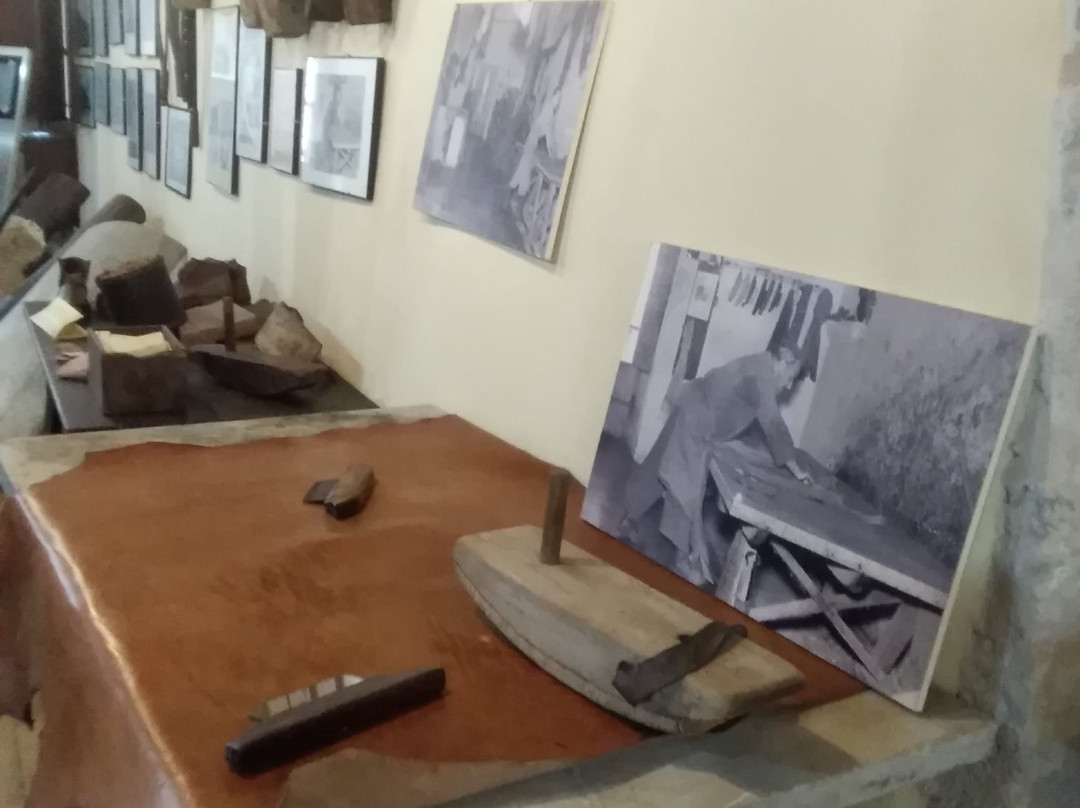 Museo delle Conce-博萨必去景点