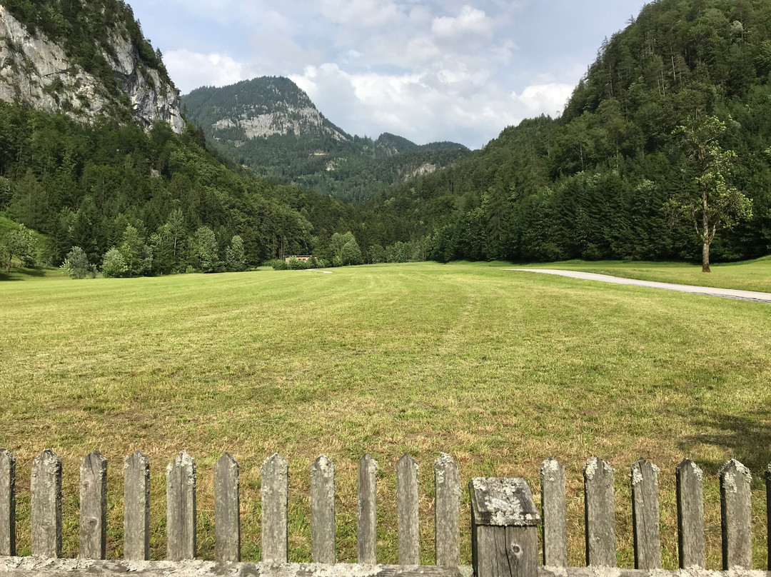 Hinterkellaubauer