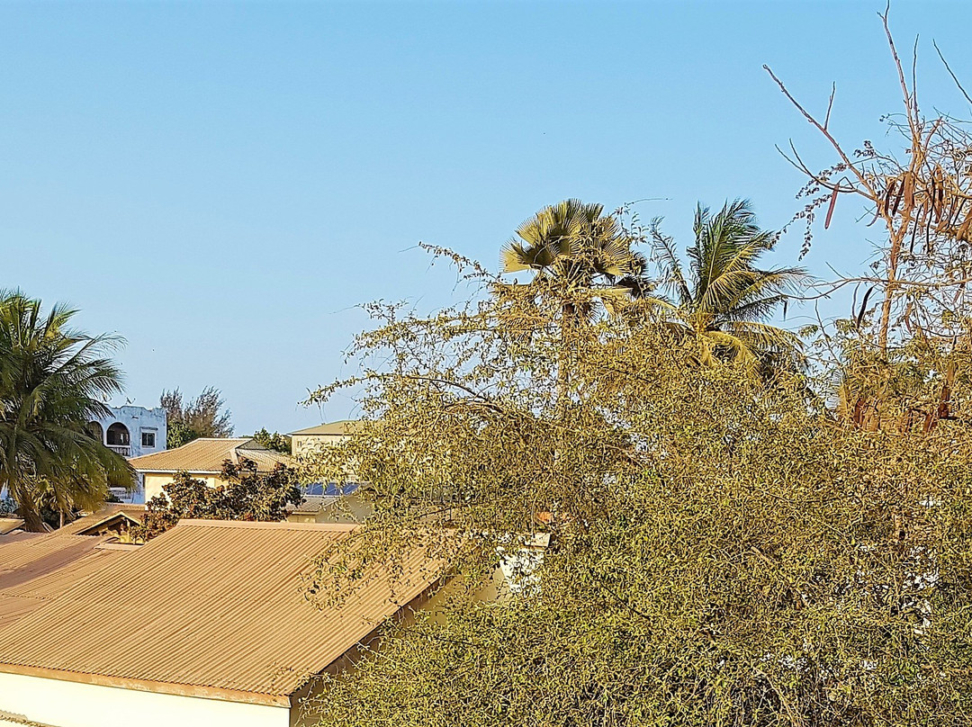 Camara Gardens Guesthouse Kololi主图