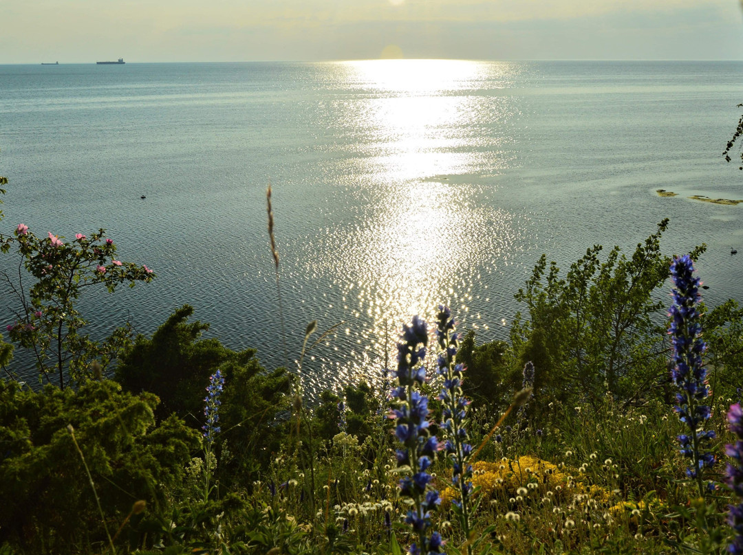 Pakri poolsaare matkarada-Paldiski必去景点