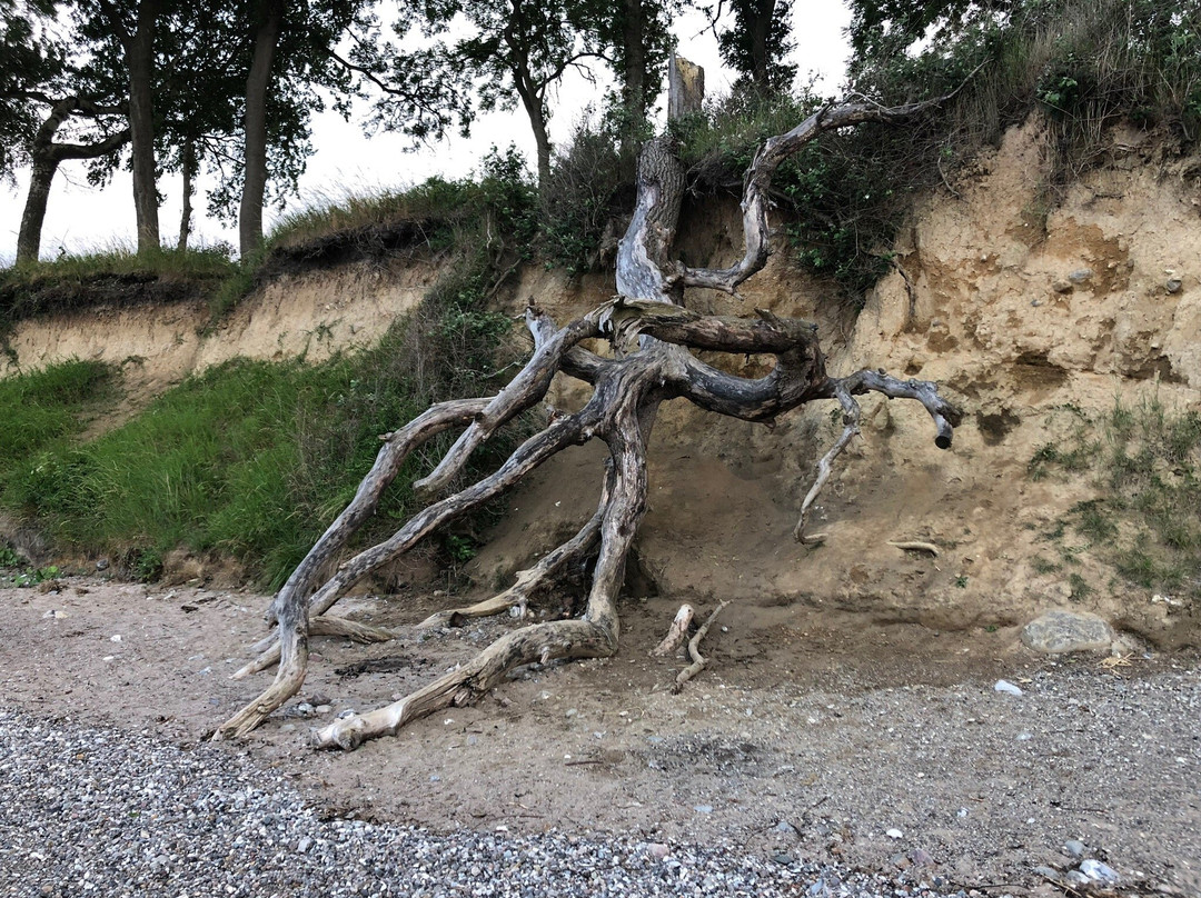 Aparthotel Museumshof主图