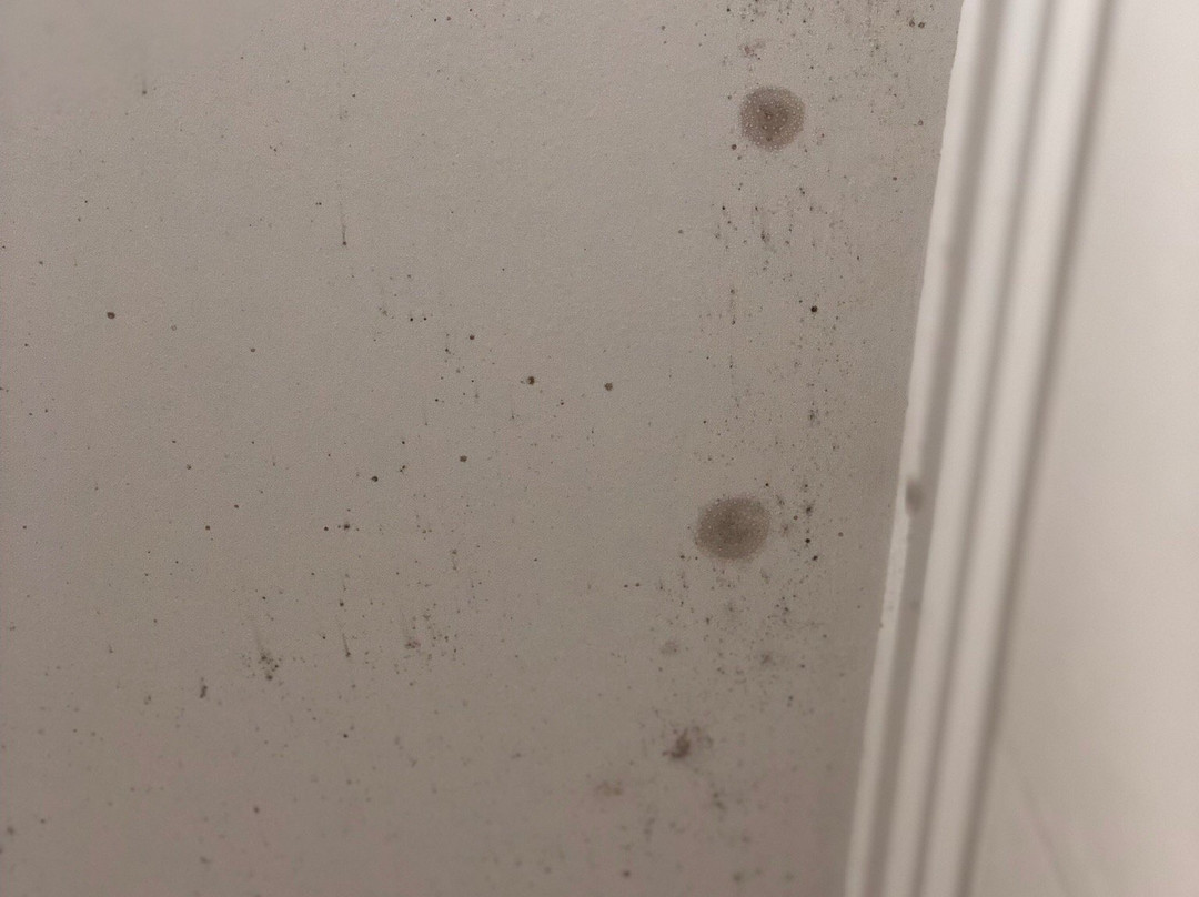 Hotel Fazenda Duas Marias主图