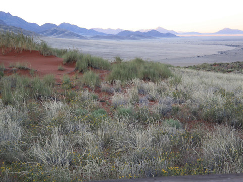 African Wanderer Tours + Safaris-温德和克必去景点