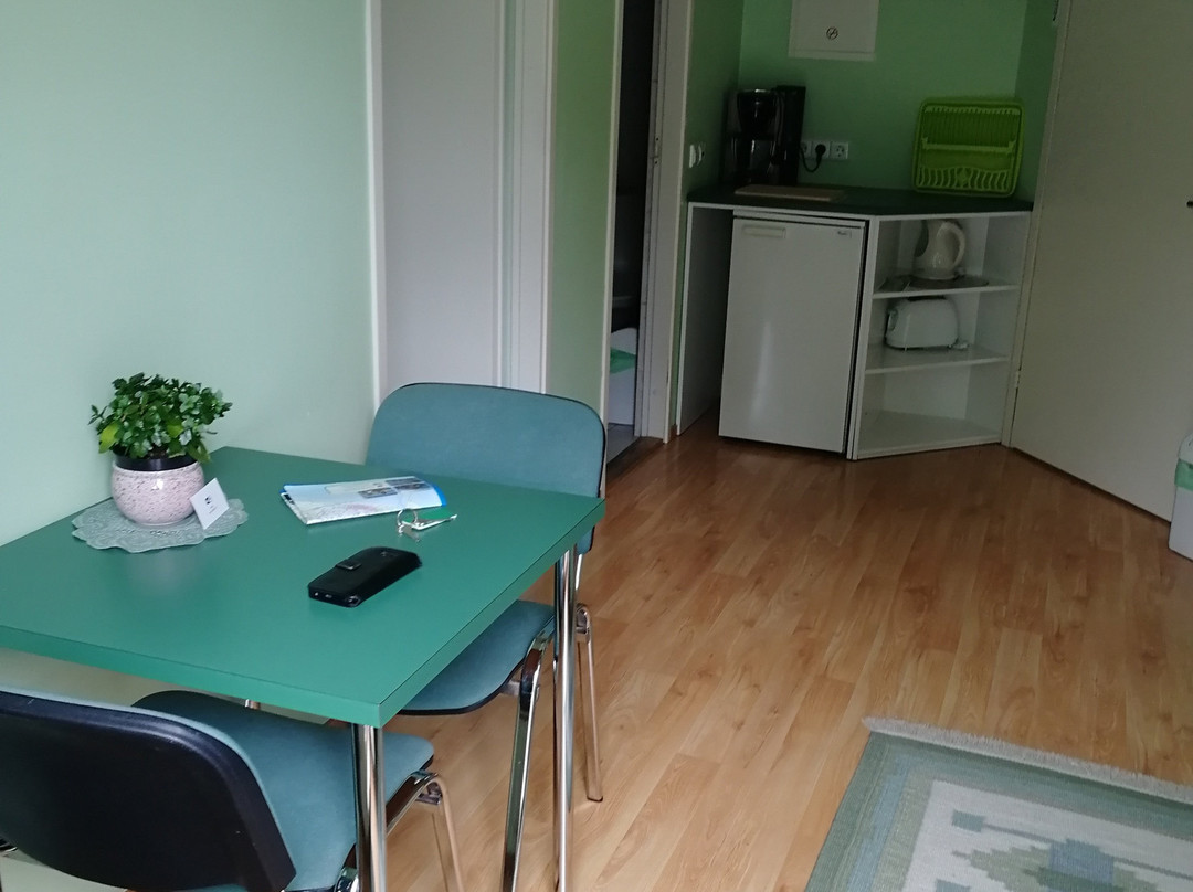 Netti Guesthouse主图