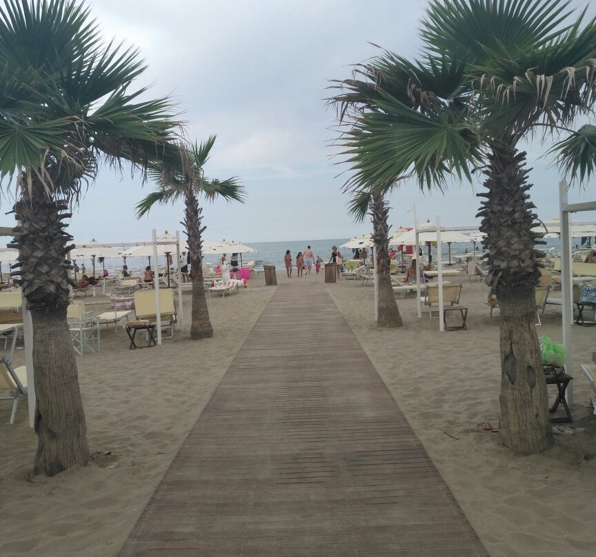 Spiaggia Le Palme 88-89景点图片