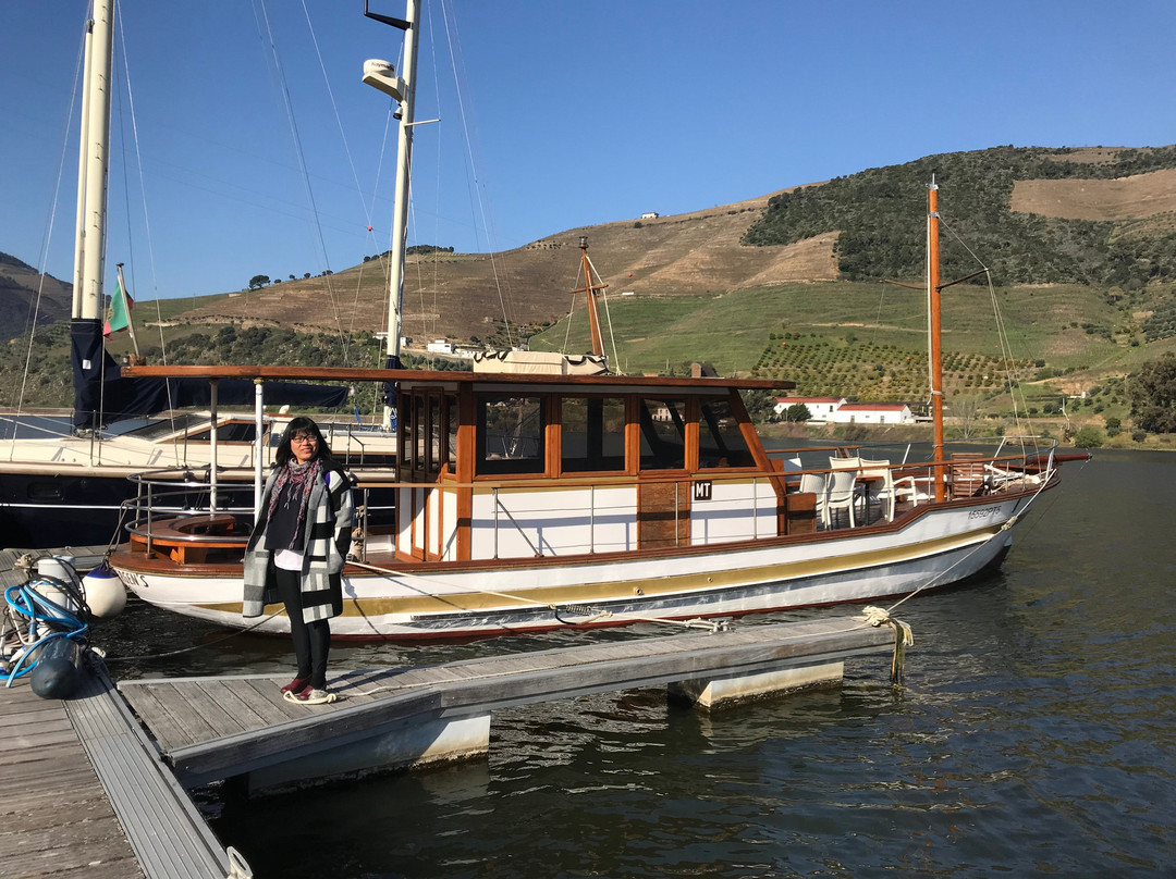 Hotel Folgosa Douro主图