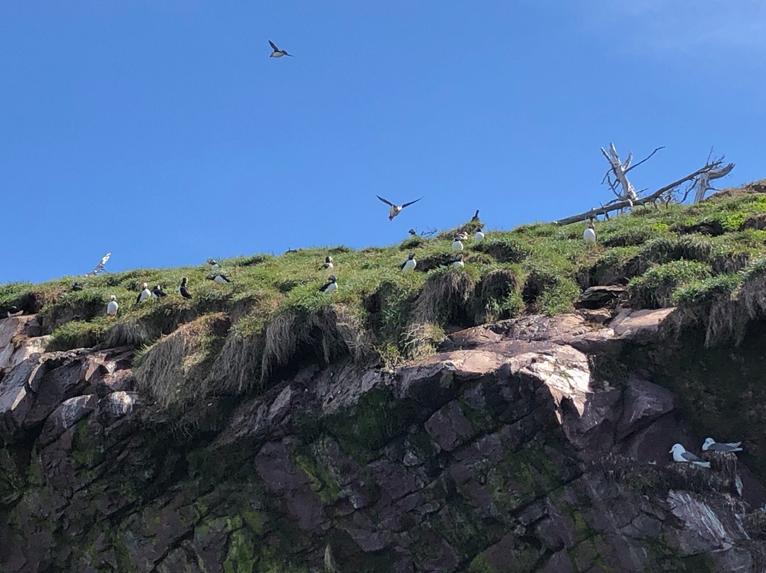 Elaine's Bed and Breakfast By The Sea主图