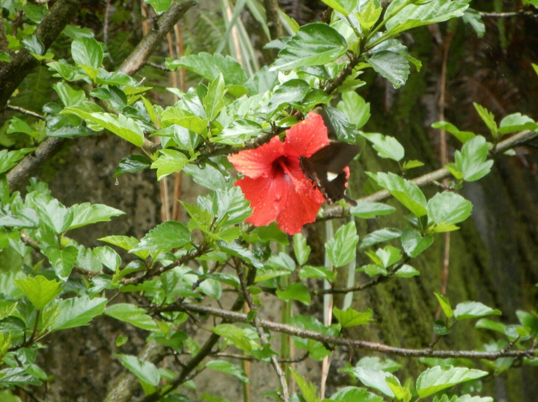 Jomon no Yado Manten主图